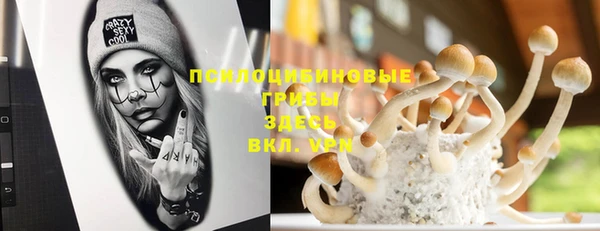 марки nbome Горняк