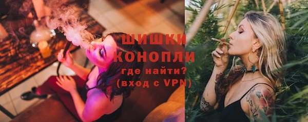 соль ск Горнозаводск